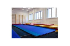 Дорожка гимнастическая ФСИ 10526 Дорожка гимнастическая ФСИ 10526
