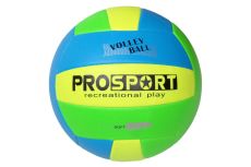 Мяч волейбольный Sportex E40006-2 р.5 Мяч волейбольный Sportex E40006-2 р.5